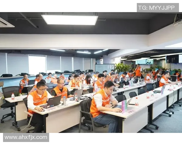 总冠军之路：从挑战到荣耀，见证无数拼搏与荣耀时刻