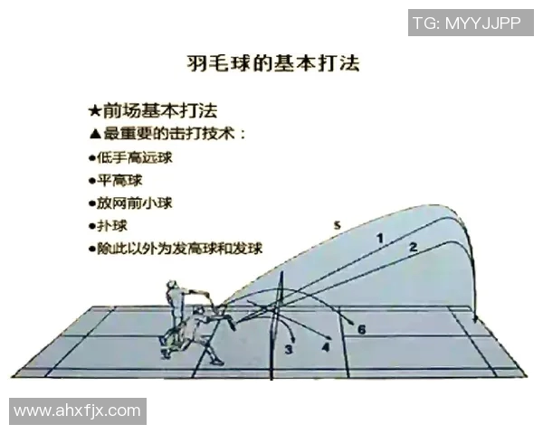重庆羽毛球队整体压制打法深度分析与战术解读
