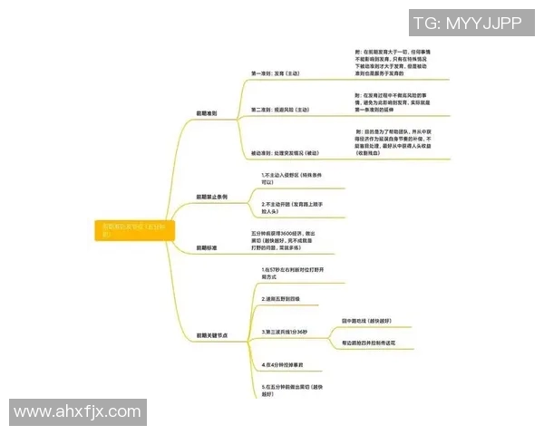 从零基础到滑板高手的全面指南与技巧分享