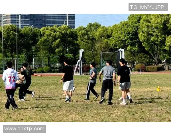 南京飞盘队的团队协作探索与飞盘运动的魅力结合之旅
